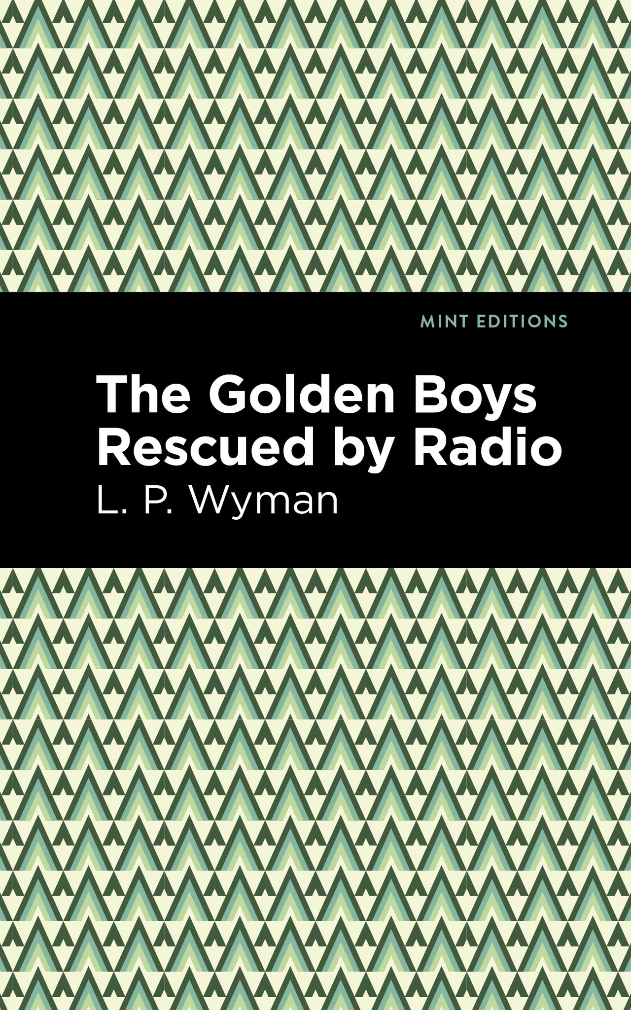 Cover image for The Golden Boys Rescued by Radio ISBN 9781513265940
